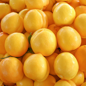黄油桃黄金油桃水果新鲜当季整箱10现摘桃子5斤包邮
