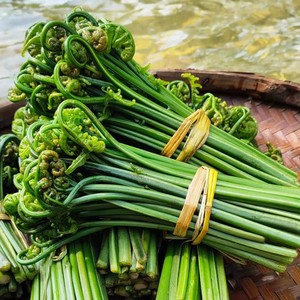 广西桂林河边现摘新鲜食用水蕨菜5斤龙爪菜农家野菜爽口凉拌菜