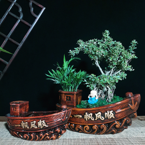 新款一帆风顺船型多肉发财树盆景桌面创意简约复古透气陶瓷花盆