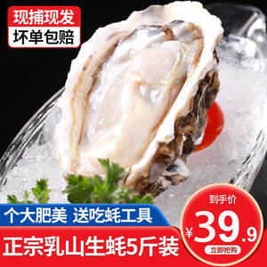 正宗乳山生蚝鲜活新鲜现捕超大牡蛎海蛎子生鲜贝类海鲜水产5斤箱