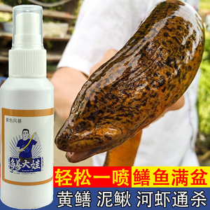 鳝大娃黄鳝小药诱食剂添加剂饵料鳝鱼黑鱼鲶鱼黄辣丁泥鳅腥臭味型