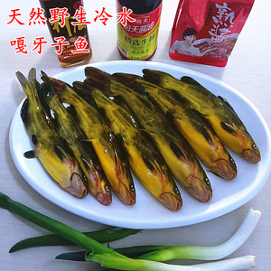 嘎牙子鱼黄颡鱼东北天然淡水鱼鱼鲜活速冻新鲜昂刺鱼食用杂鱼