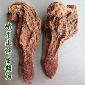 四川峨眉山特产锁阳药材峨参灵芝九牛糙自产农副产品农家500g包邮