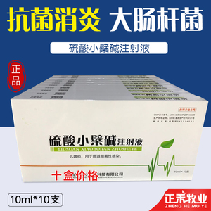 兽药兽用硫酸小檗碱注射 液猪牛羊药仔猪黄白痢肠炎羊羔腹泻拉稀