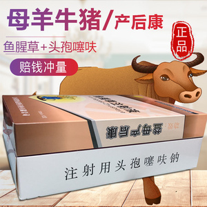 产后康兽用药兽药牛羊专用母牛产后康鱼腥草注射鱼腥草注用液兽用