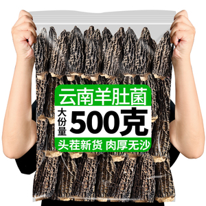 云南羊肚菌500克野新鲜生云南特产山珍菌菇汤料包干货食材批发