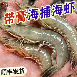 舟山水产海鲜海捕剑虾条虾滑皮虾深海青壳大虾对虾鲜活速冻虾