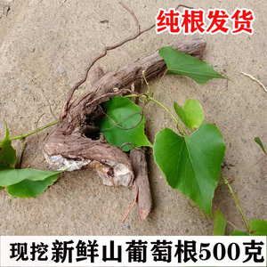 新鲜现现发挖野葡萄根山葡萄蛇纯根葡萄根500克包邮