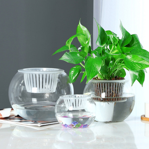 水培植物玻璃瓶水培绿萝花瓶花盆大号玻璃圆球型水养鱼缸器皿容器