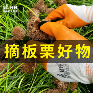 捡板栗专用手套栗子神器防割防刺的防扎工具仙人球采摘防刮修剪剥