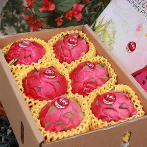 顺丰包邮海南红心火龙果金都一号特大果蜜宝红肉火龙果水果礼盒装