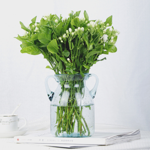 茉莉花鲜花切花办公室家庭瓶插花束清香淡雅云南昆明斗南基地直发