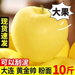 山东烟台黄元帅苹果新鲜水果正宗黄金帅黄香蕉苹果粉平果9斤5