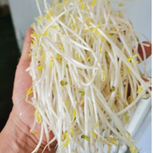 过检测ab水剂增粗豆芽无根素无根豆芽素豆芽无根剂无根豆芽生长剂