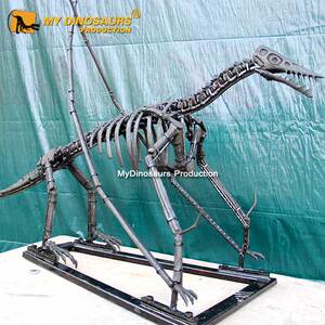 大型风神翼龙拼装化石骨架 博物馆展览骨骼标本 龙晨时代恐龙定制