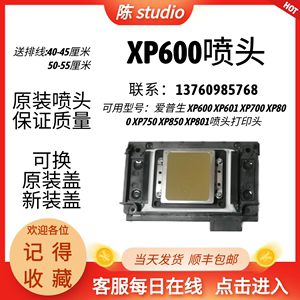 （送排线）全新原装爱普生XP600-TX800喷头六色喷头 技术指导安装