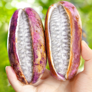 八月瓜新鲜5斤现摘八月炸水果当季野生罕见稀有甜香瓜整箱包邮10