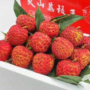 【a 老树果王】蜜丁香荔枝王5斤新鲜现发应季超大荔枝现摘10