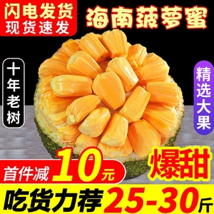 现摘海南菠萝蜜一整个新鲜水果波罗蜜当季特产20-40斤整箱包邮黄