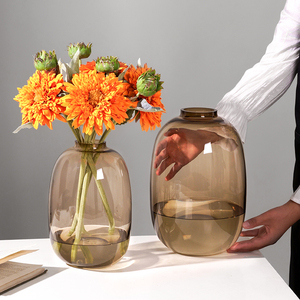 透明玻璃花瓶摆件客厅插花高级感颜值水养雪柳马醉木专用鲜花吊钟