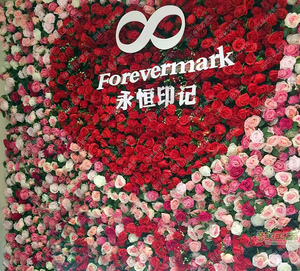 000人付款天猫韵江南 仿真玫瑰花墙 网红店铺前台装