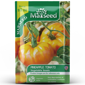 【MARSEED火星家】老品种农家传家宝 菠萝大牛排番茄种子籽孑苗