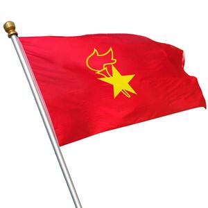 少先队活动室队旗