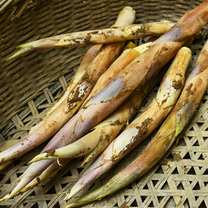 新鲜野生蔬菜3斤现挖马鞭笋夏季小竹笋边笋毛笋春笋夏笋甜笋浙江