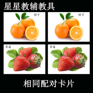 找相同配对卡片宝宝自闭症aba训练卡水果物品形状孤独症康复教具