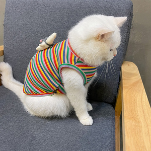 猫咪衣服夏季ins布偶猫宠物英短蓝猫美短小猫背心薄款防掉毛可爱