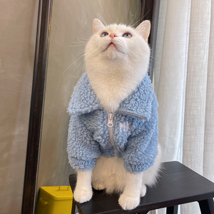 宠物猫咪衣服冬季保暖可爱猫猫冬装布偶猫蓝猫冬天防掉毛公猫帅气