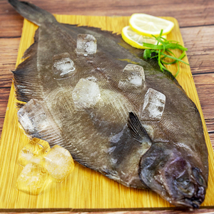 比目鱼新鲜冷冻整条