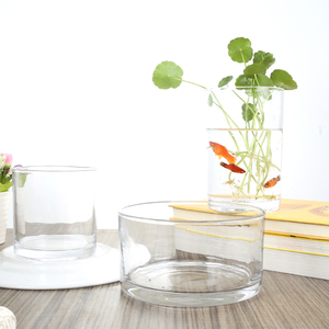 郁金香专用盆水培绿植物玻璃容器种植器皿水养圆柱形花瓶创意透明