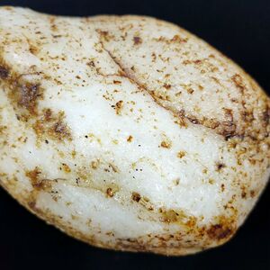 3斤重和田玉羊脂白玉戈壁料原石 雪白一细料收藏级白玉摆件雕刻料