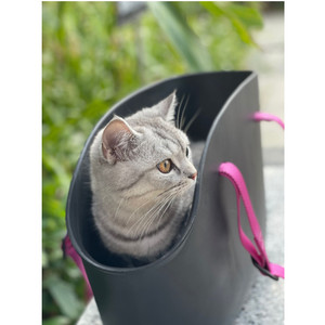 果绿粉色新黑色线上可放猫猫小狗大容量休闲欧美时尚EVA 宠物包