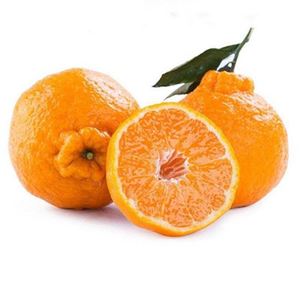 四川浦江耙耙柑春见趴趴柑丑柑不z知火橙子丑八怪橘子新鲜水果10