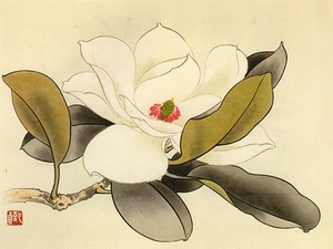 工笔画底稿 俞致贞花卉小品玉兰花白描24#打印稿宣纸稿