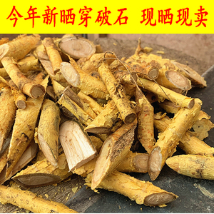 野生穿破石 中药材构棘根 小柘树根 九层皮 山荔枝 新鲜晒干500克