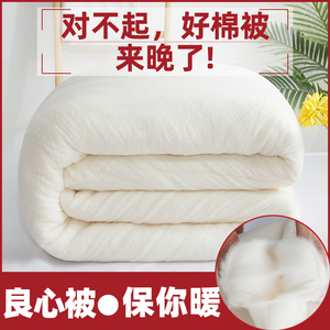 长绒棉幼儿园垫被子100%棉花被褥子8斤棉胎棉絮被芯10斤四季通用