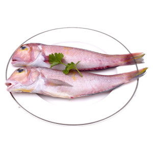 东海深海野生马头鱼新鲜冷冻斧头鱼方头鱼甘鲷鱼海鲜水产5斤装