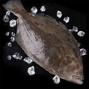 烟台新鲜偏口鱼鲽鱼整条冷冻海鲜海鱼5斤2-3斤/条顺丰包邮