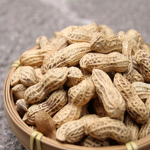 闽乡栗竹 水煮花生干货 福建特产泰宁朱口花生500g