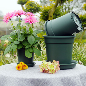 悠米花园 环球二代加仑升级加厚种花控水大口径花盆塑料花盆