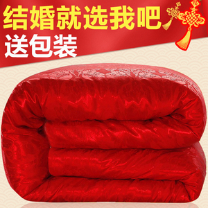 南极人被芯结婚喜被陪嫁大红色被子双人新婚春秋被加厚保暖冬被