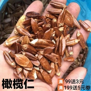 糕点原料生榄仁新货榄核仁500g包邮橄榄仁五仁月饼馅料天然无添加