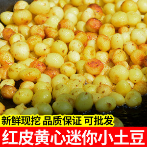 云南高山超迷你小土豆新鲜10斤农家自种商用红皮珍珠批发黄心洋芋
