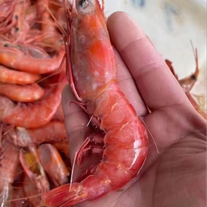 冷冻野生红虾