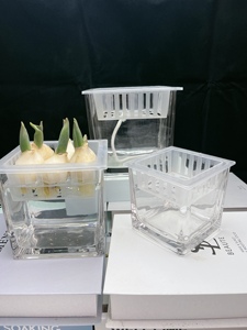 玻璃水培花盆定植篮摆件透明方缸水养绿绿萝郁金香正方形花盆器皿