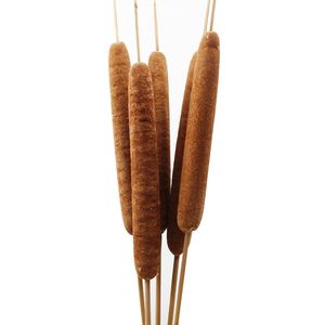 香蒲棒干花蒲草蒲棒仿真花摆拍芦苇花绢花水腊烛水烛香蒲舞台道具