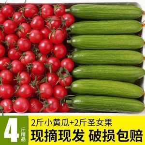 圣女果小黄瓜组合装青瓜樱桃小番茄新鲜西红柿子水果生吃4斤